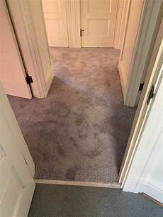 Full Floor Carpet