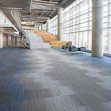 Shaw Contract Carpet