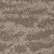 Stainmaster Petprotect Carpet