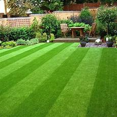Artificial Grass Carpet