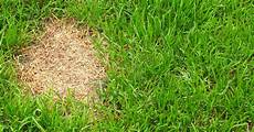 Blended Fertilizer