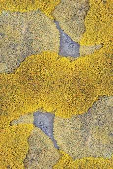 Carpet Tiles