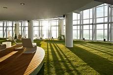 Green Grass Carpet