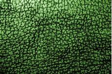 Green Grass Carpet