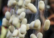 Knitting Yarns