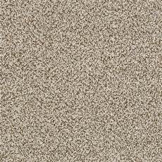 Lifeproof Carpet
