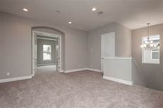 Light Brown Carpet