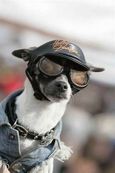 Motorcycle Jean