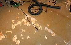 Rubber Backed Carpet